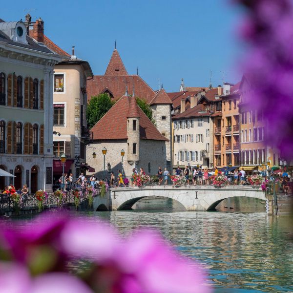 Fiori viola in primo piano con il canale di Annecy e il Palais de l’Isle sullo sfondo